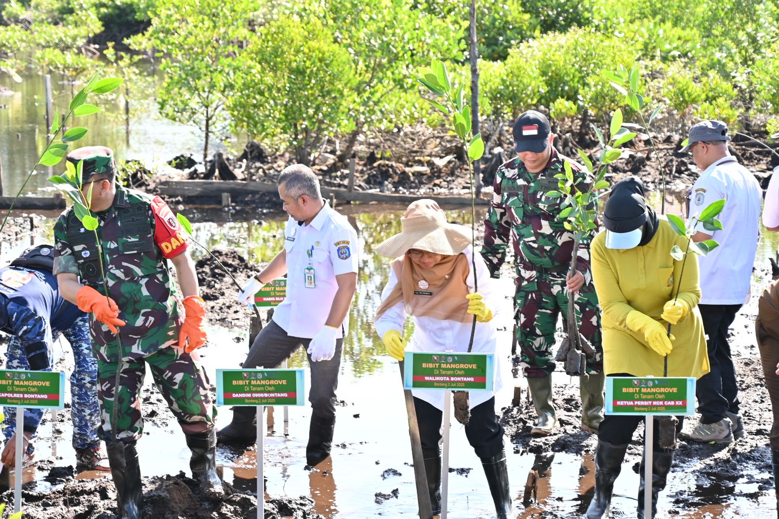 Kodim 0908/Bontang Tanam Ribuan Mangrove, Peringati HUT Kodam VI/Mulawarman ke-67 dengan Aksi Peduli Lingkungan