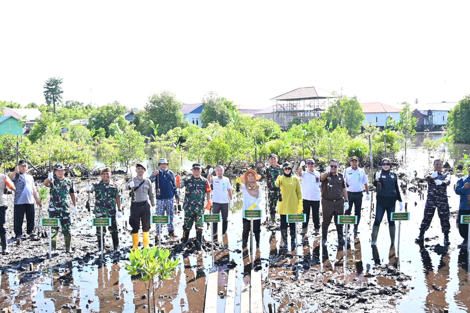 Kodim 0908/Bontang Tanam Ribuan Mangrove, Peringati HUT Kodam VI/Mulawarman ke-67 dengan Aksi Peduli Lingkungan