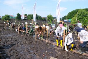 Gerakan Penanaman Mangrove di Pesisir Bontang Pada HUT ke-65 Kodam VI/Mulawarman