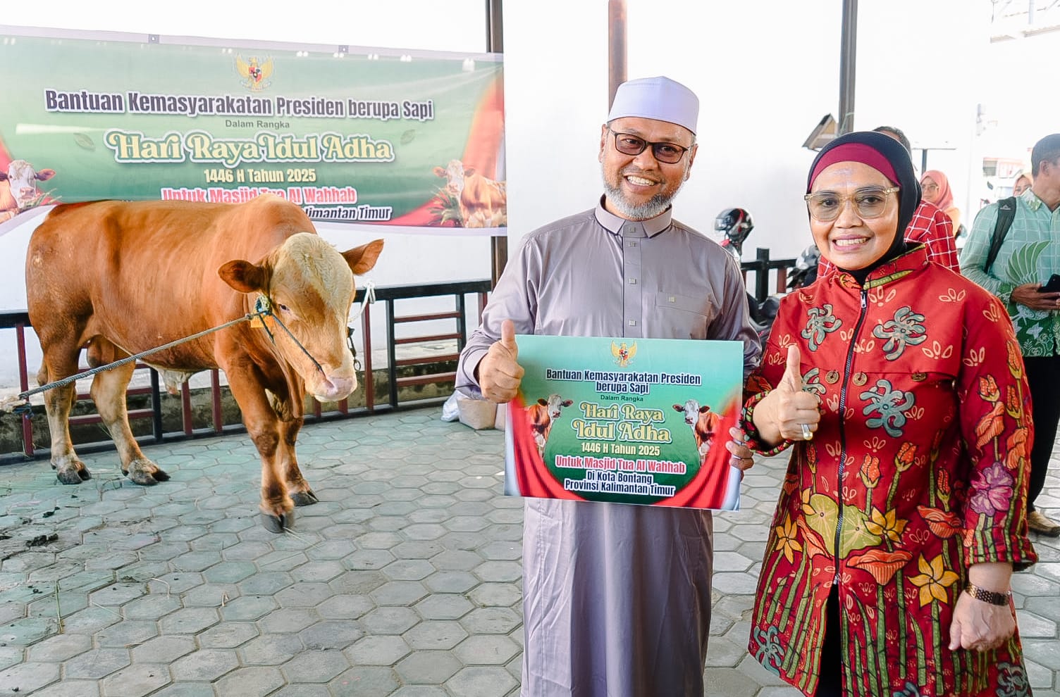 Sapi Kurban Presiden Prabowo dengan Bobot 650 kg Diserahkan ke Masjid Tua Alwahab Bontang Kuala