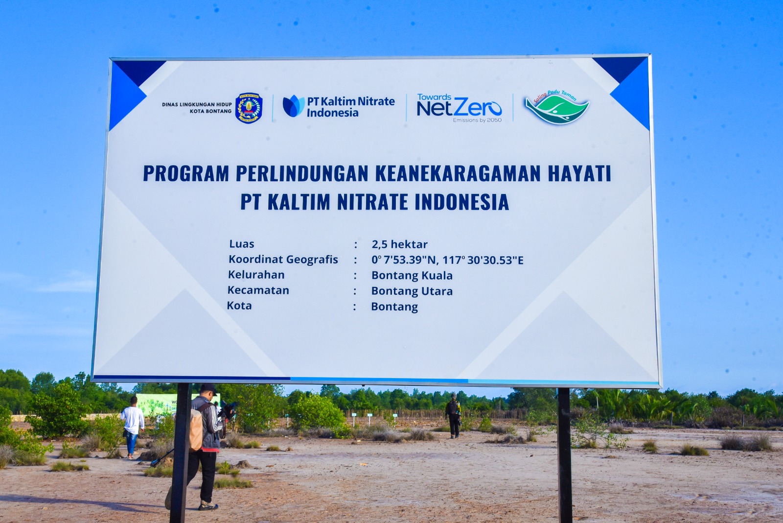 Penanaman 6000 Mangrove PT KNI Bersama Walikota dalam Peringatan Hari Lingkungan Hidup Sedunia 2024